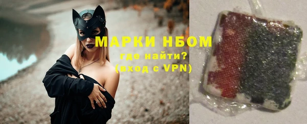 прущие грибы Богородицк