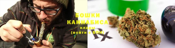 прущие грибы Богородицк