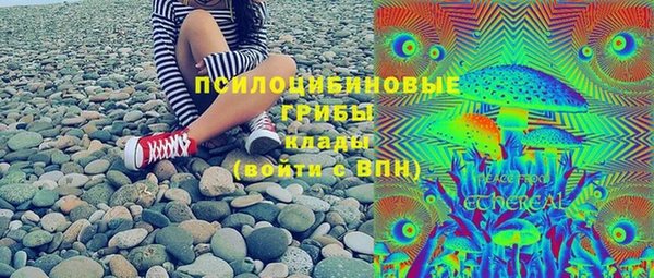 прущие грибы Богородицк