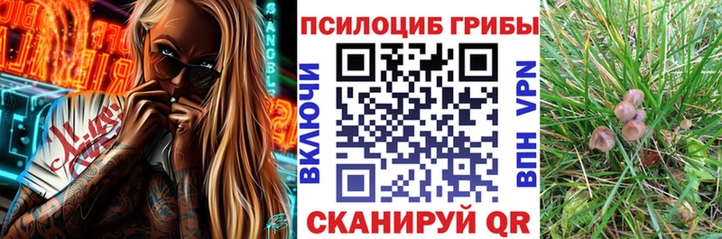 Псилоцибиновые грибы мицелий  Черепаново 